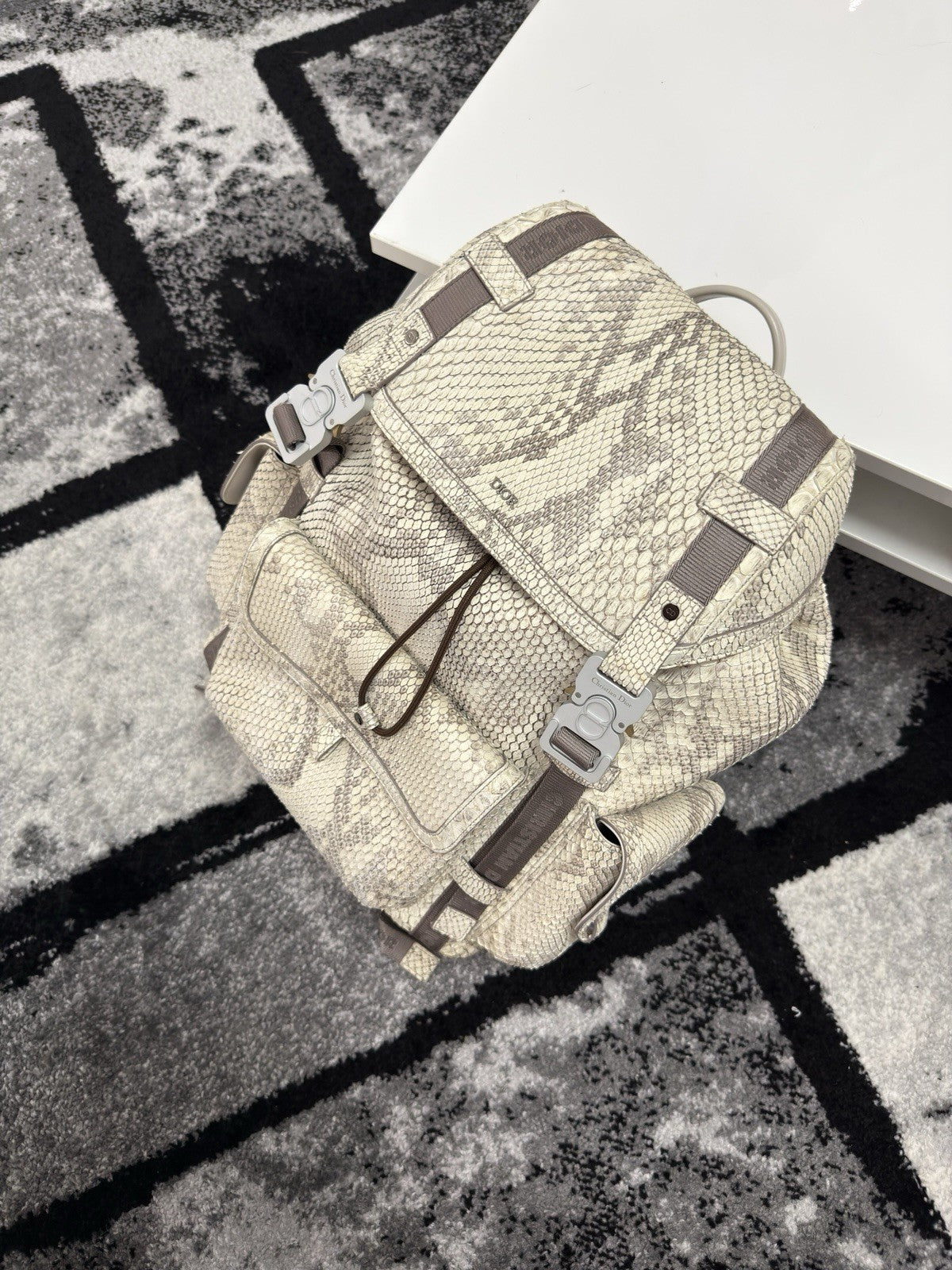 Dior Python Backpack