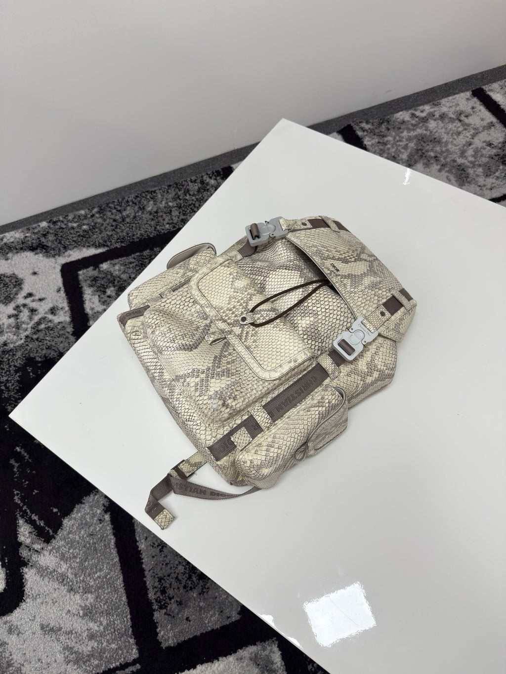 Dior Python Backpack